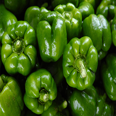 Capsicum